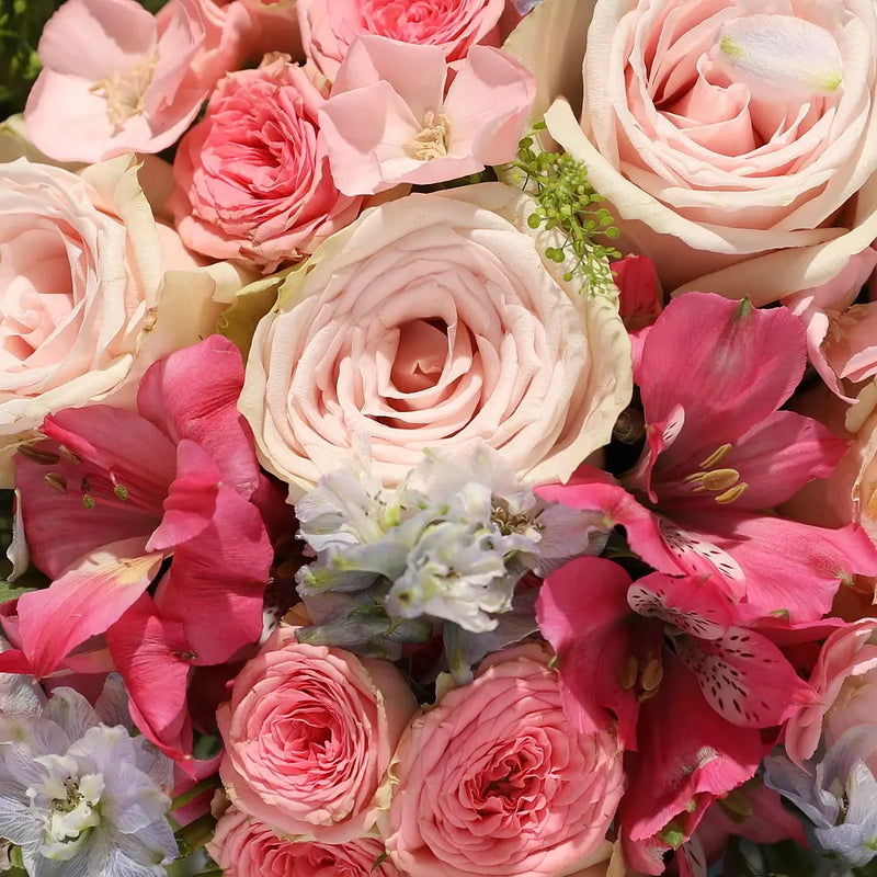 Flower Bouquets